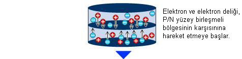 Elektron ve elektron deliği P/N bölgesine harekete başlar.