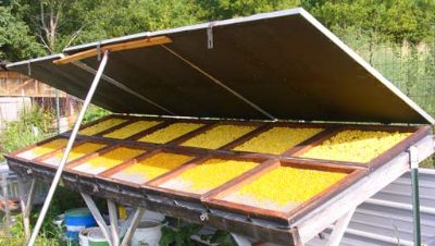 Güneş enerjisi ile mısır kurutma