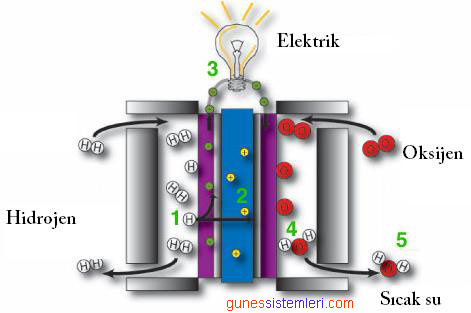 Yakıt hücresinin çalışma prensibi.
